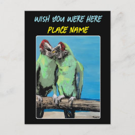 "Beach Parrots"-målning på en Vykort