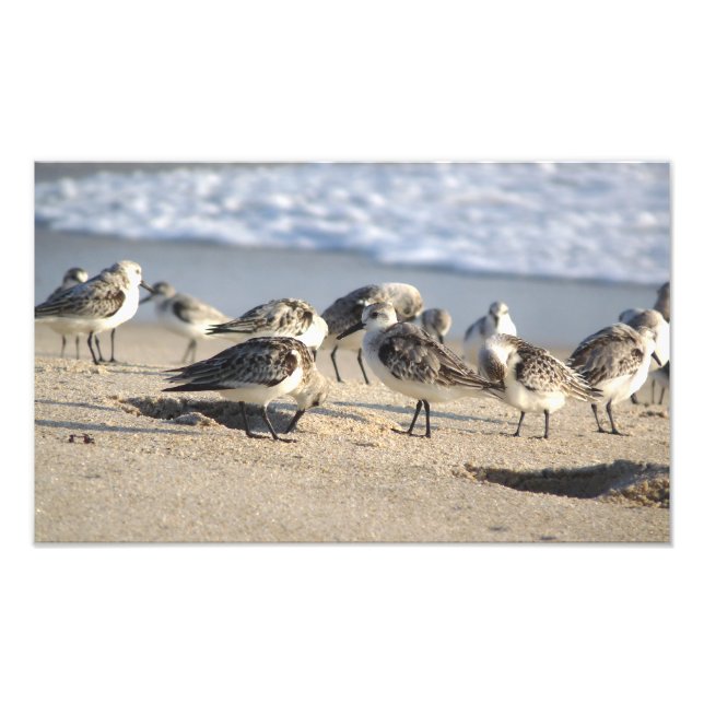 Beach Party. Sebastian Inlet. Fototryck (Framsidan)