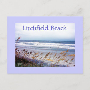 BEACH POSTCARD, Litchfield Beach Vykort