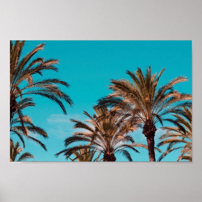 Beach-poster Poster (Framsidan)