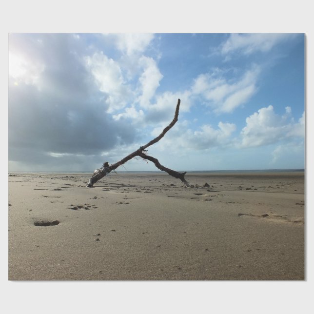 BEACH PRESENTPAPPER (Platt)