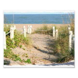 Beach promenaddune ropad utanför Florida Beach Fär Fototryck