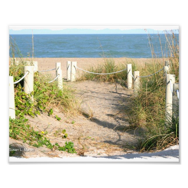 Beach promenaddune ropad utanför Florida Beach Fär Fototryck (Framsidan)