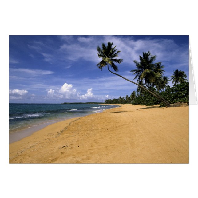 Beach Puerto Rico 2 Hälsningskort (Framsidan Horizontal)