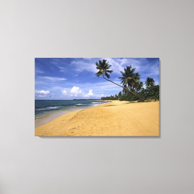 Beach Puerto Rico Canvastryck (Framsida)