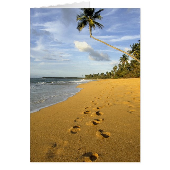 Beach Puerto Rico Hälsningskort (Framsidan)