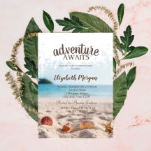 Beach,Sand,Seashells Pension Party