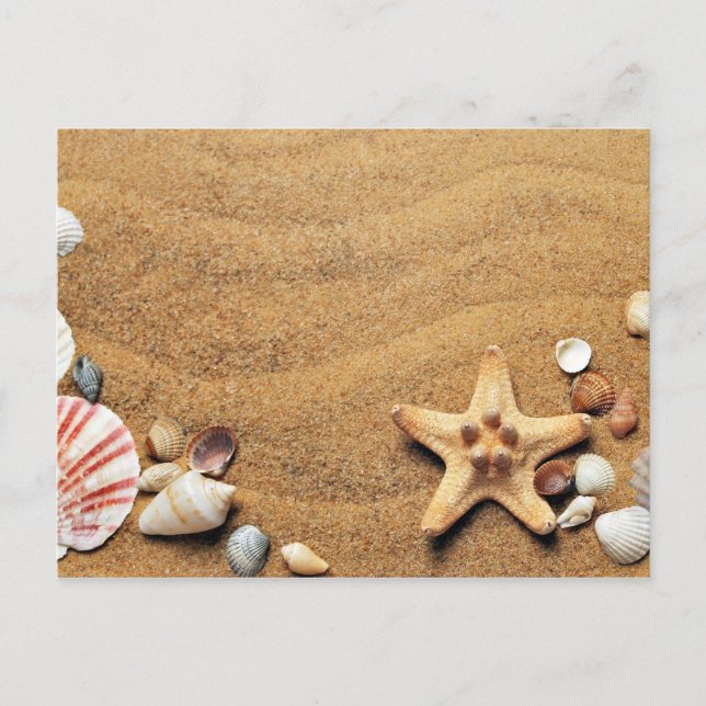 Beach Sand-Snäckor Vykort (Framsida)