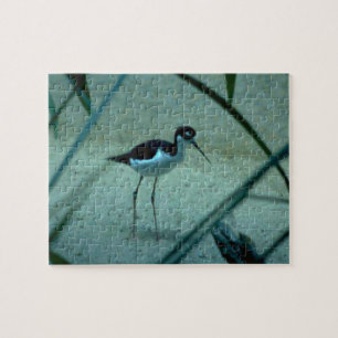 Beach Sandpiper Bird Pussel