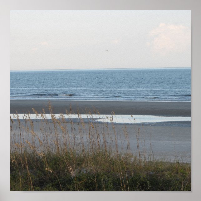 Beach-scen Poster (Framsidan)