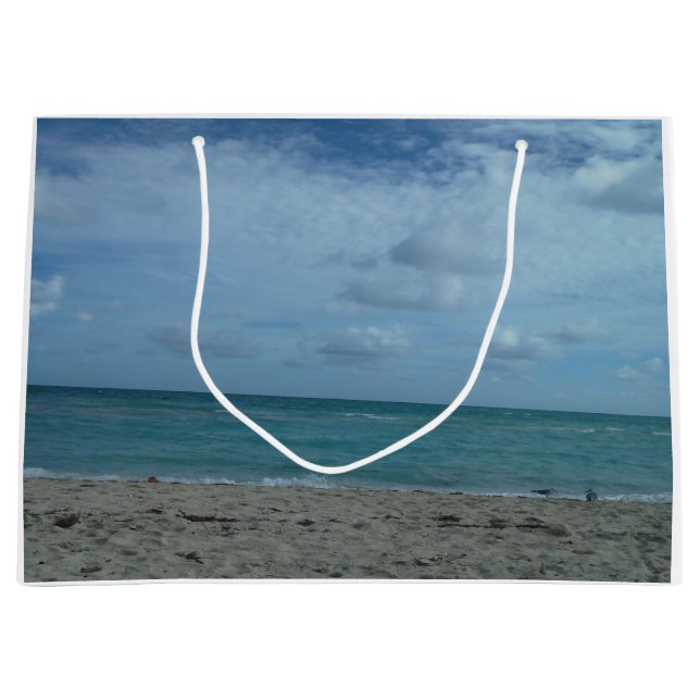 BEACH SCENE (Framsidan)