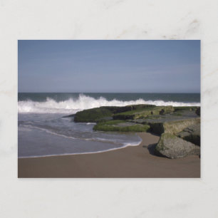 Beach Scene 2-vykort Vykort