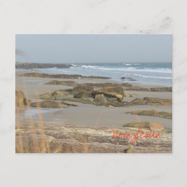 Beach Scene Nova Scotia Rissers Southshore Vykort (Framsida)