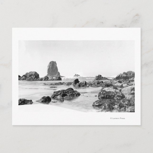 Beach Scene vid Cannon Beach, Oregon Photogratogra Vykort (Framsida)