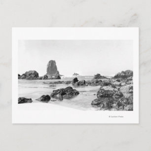 Beach Scene vid Cannon Beach, Oregon Photogratogra Vykort