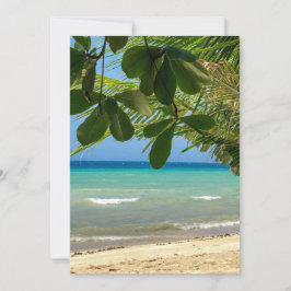 Beach scenery. Filippinerna. Moalboal. Vit strand. Inbjudningar