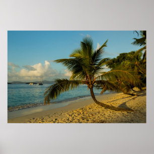 Beach scenisk poster
