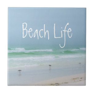 Beach sea bird aqua blue kakelplatta