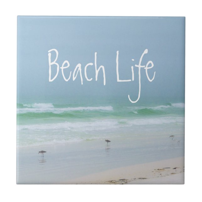 Beach sea bird aqua blue kakelplatta (Framsidan)