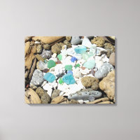 Beach Sea Glass-konst skriver ut Snäckor Fossils