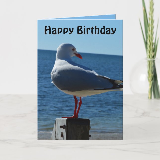 Beach Sea Gull, födelsedagskort Kort (Framsida)