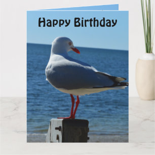 Beach Sea Gull, jumbo Birthday Card Kort