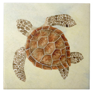 Beach Sea Turtle Coastaar Ocean Seashore Sand Kakelplatta