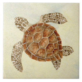 Beach Sea Turtle Coastaar Ocean Seashore Sand Kakelplatta