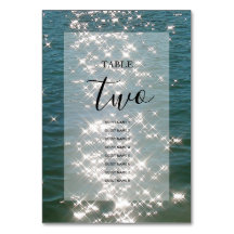 Beach Sea Vatten Sparkles Bröllop Guest Namn