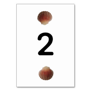 Beach Seashell Clams Bröllop Bordsnummer