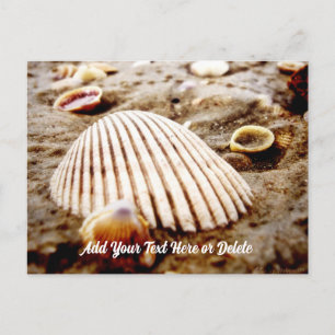 Beach Seashells i Krabi Thailand, vykort