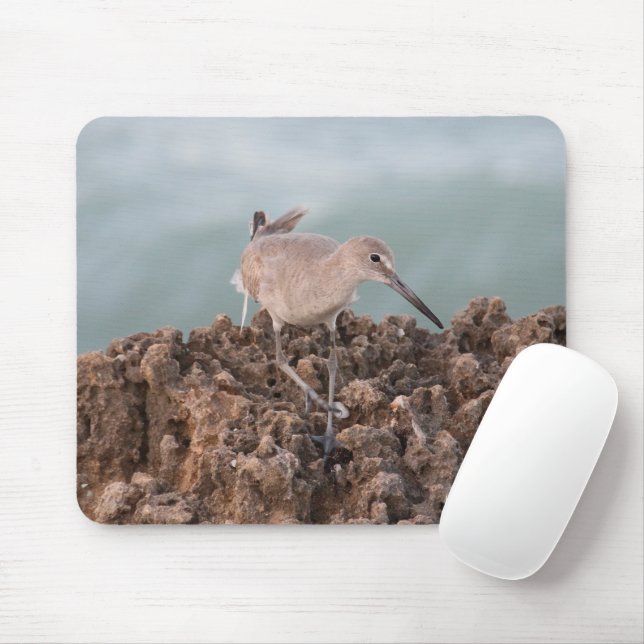 Beach Shorebird med Seafoam GreenOcean Background Musmatta (Med mus)