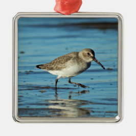 Beach Shorebird Scene - Dunlin Julgransprydnad Metall