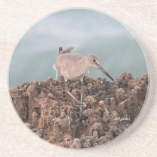 Beach Shorebird Willet med Teal Ocean Background Underlägg