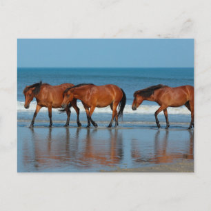 Beach Sisters Vykort