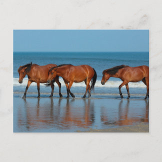 Beach Sisters Vykort