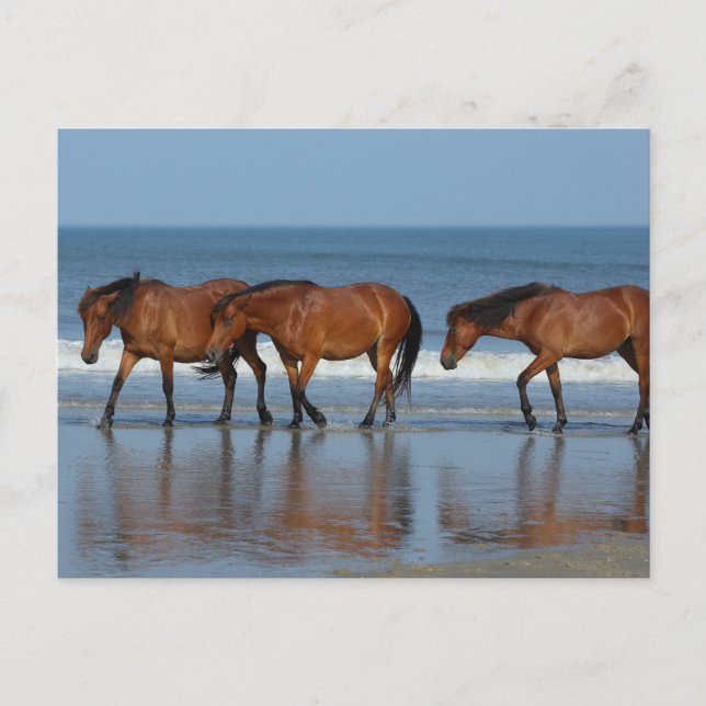Beach Sisters Vykort (Framsida)