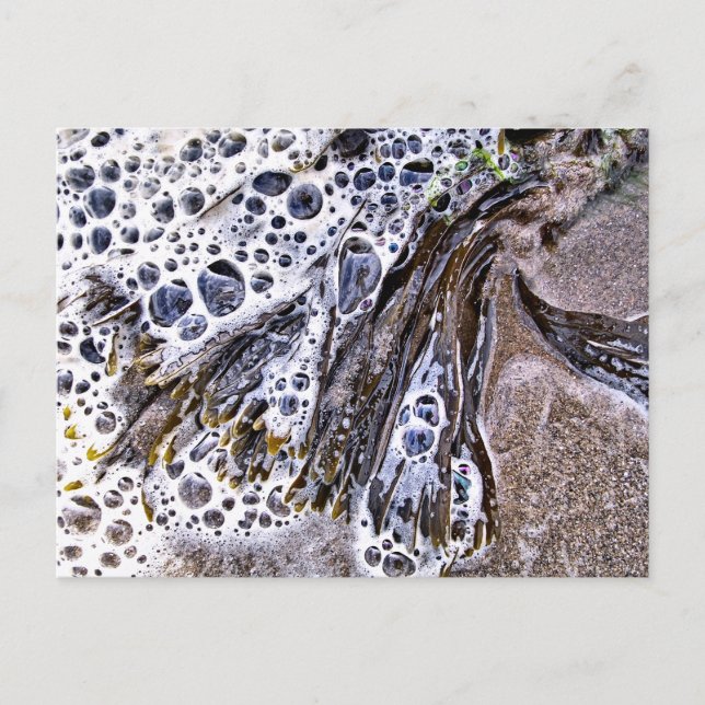 BEACH, SJÖGRÄS, VATTEN OCH SAND VYKORT (Framsida)