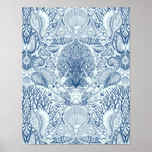 Beach-skatter i blått poster