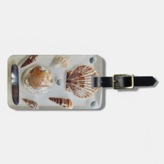 Beach-Snäcka-samling Bagagebricka