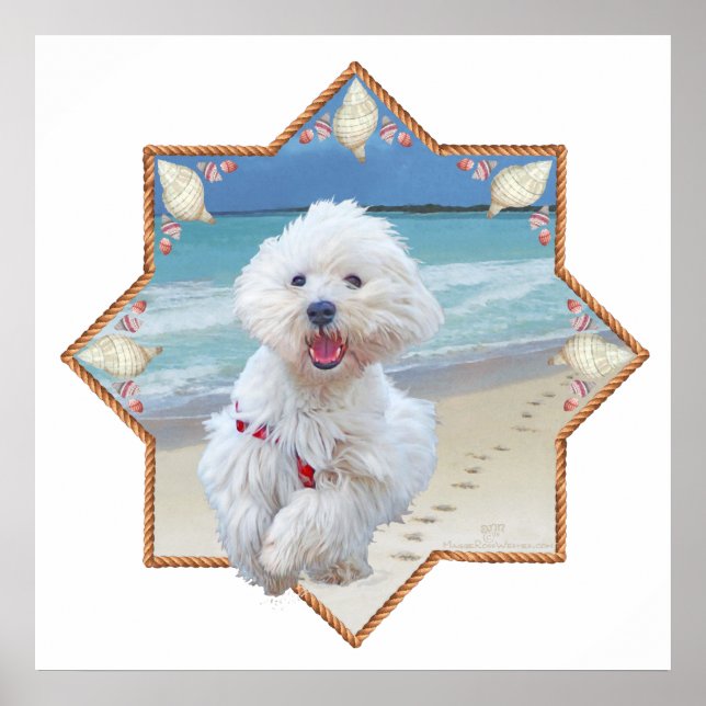 Beach Springa Poster (Framsidan)