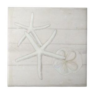 Beach Starfish Sanddollar Snäckors White Tvättat W Kakelplatta