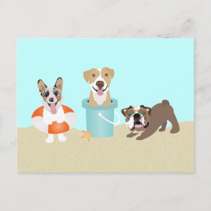 Beach Summer Hundar Blue Orange Vykort