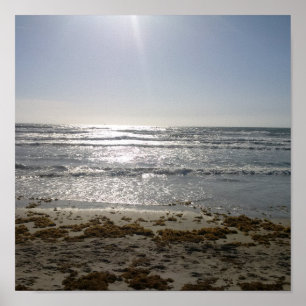 Beach Sunrise Poster