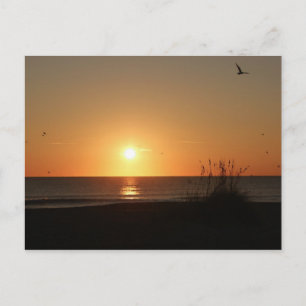 Beach Sunrise Vykort