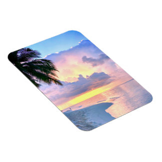 Beach Sunset Sea sand handflatan träd Maldives Mia Magnet