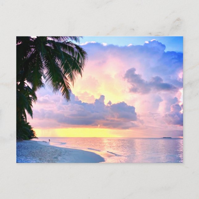 Beach Sunset Sea sand handflatan träd Maldives Mia Vykort (Framsida)