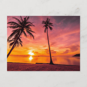 Beach Sunset-vykort Vykort
