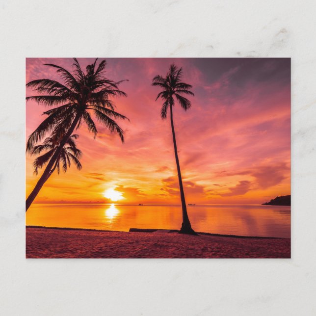 Beach Sunset-vykort Vykort (Framsida)