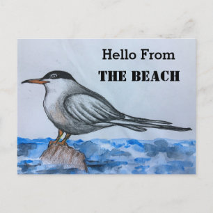 Beach Tern Fiskmås Hej-vykort Vykort